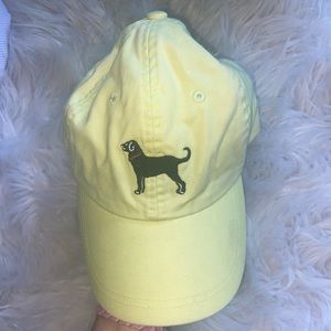 Lime green black dog hat